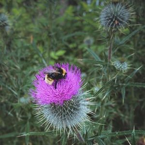 Meet your Posher, Carol